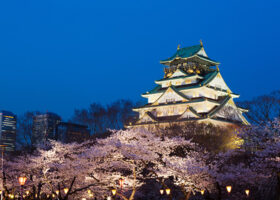 【関西】夜桜ライトアップが楽しめるおすすめスポット〈桜の見頃やイベント情報なども紹介・2026年最新〉