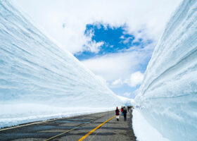 立山黒部アルペンルート「雪の大谷」はいつ・どうやって行く？見どころ紹介〈2026年最新〉