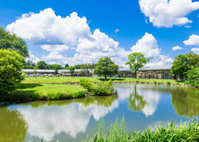 【ゴールデンウィーク】首都圏から電車で行ける！日帰りのおすすめ観光地12選〈2026年最新〉