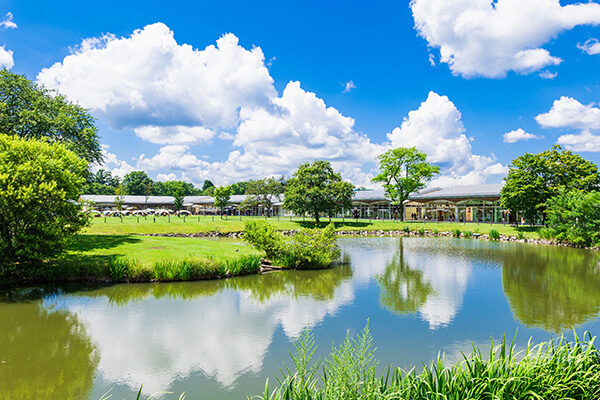 【ゴールデンウィーク】首都圏から電車で行ける！日帰りのおすすめ観光地12選〈2026年最新〉