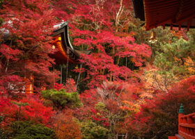【京都】紅葉の穴場スポット10選〈2026年最新・紅葉の見頃も紹介〉