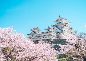 【2026年最新版】関西のおすすめ桜スポット14選〈桜の見頃やイベントも紹介〉