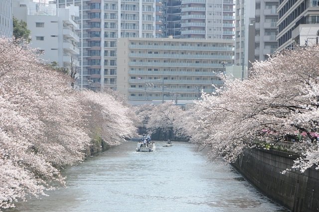 目黒川クルーズ
