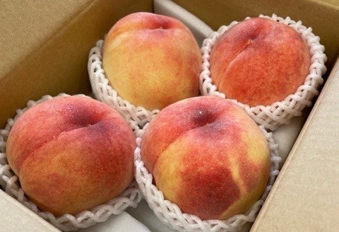桃1箱(3～5ヶ入り)お持ち帰り