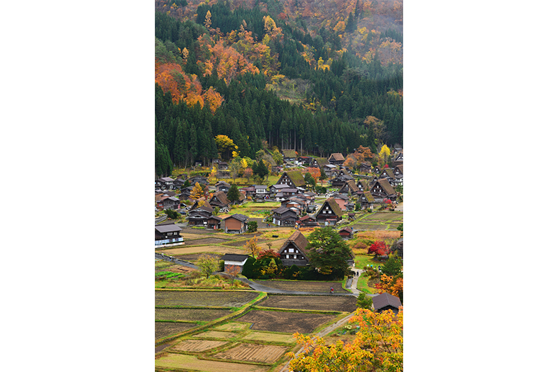 世界遺産 白川郷 秋 イメージ