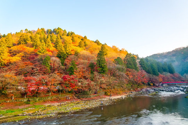 香嵐渓 紅葉(イメージ)