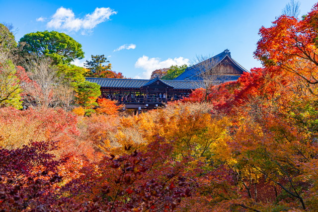 東福寺の紅葉 イメージ