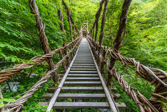 祖谷のかずら橋(イメージ)