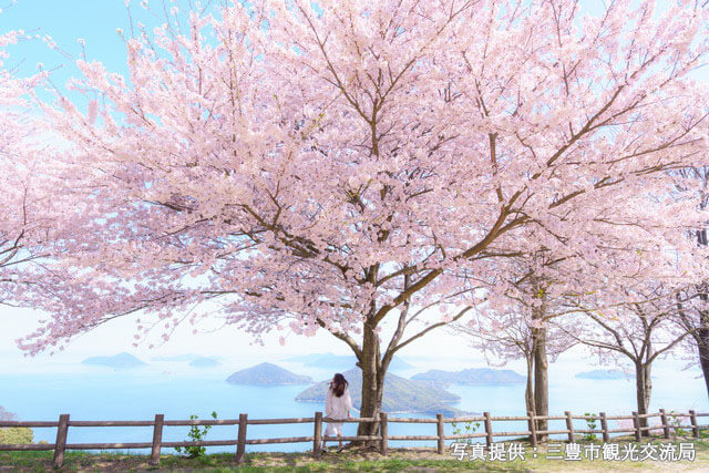 紫雲出山　桜（イメージ）