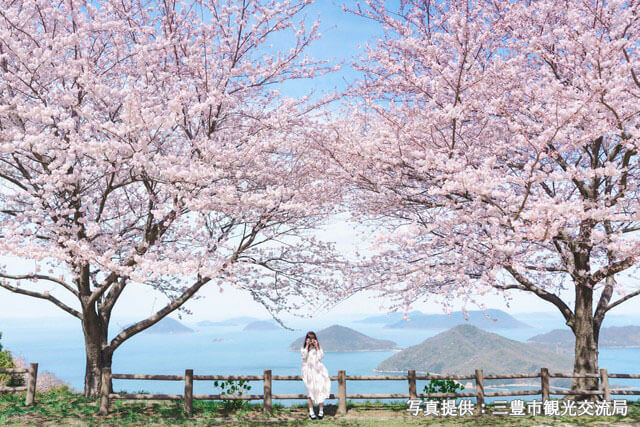 紫雲出山　桜（イメージ）