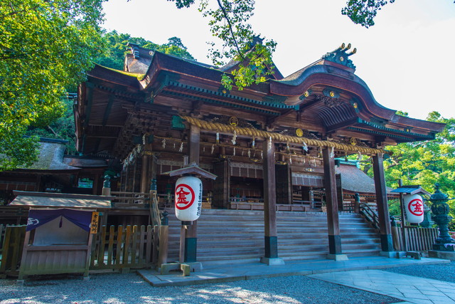 金刀比羅宮本宮(イメージ)