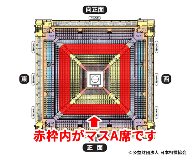 宮崎発】大迫力！厳かなる瞬間 「大相撲九州場所」 日帰りバスツアー