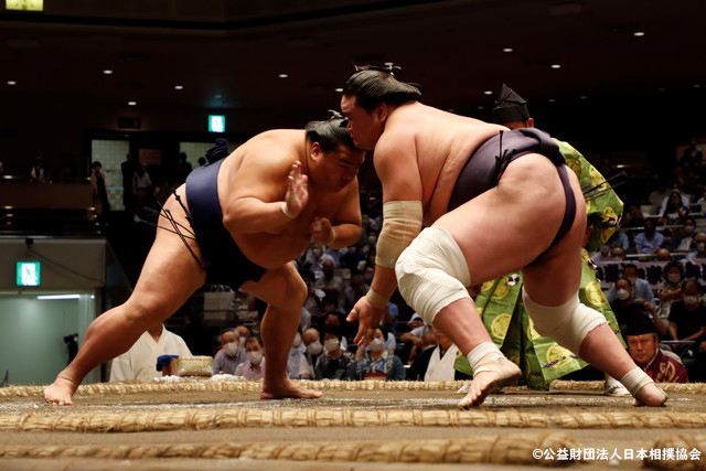 大相撲 ※イメージ