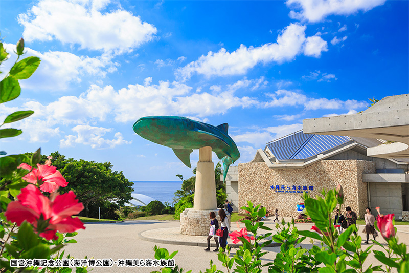 沖縄美ら海水族館