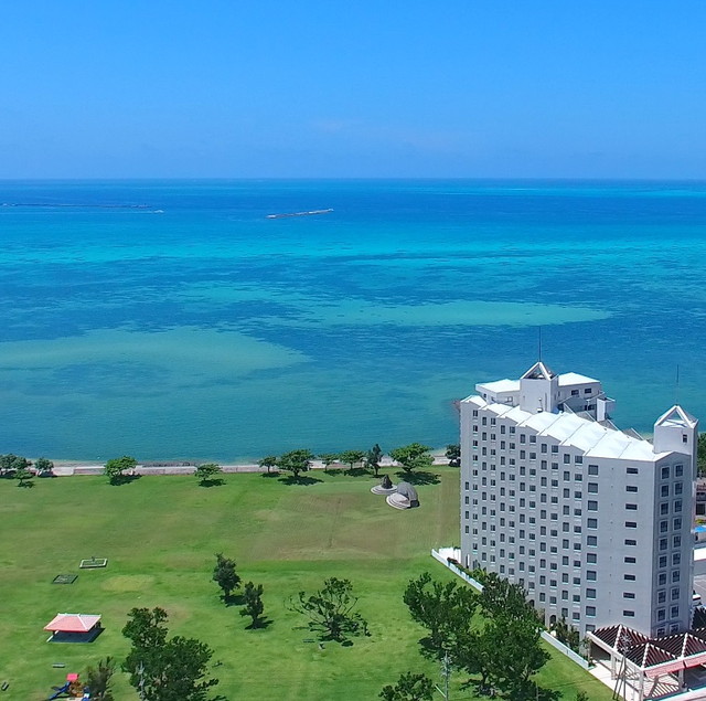 世界自然遺産・西表島、マングローブ秘境クルーズ 水牛車で海上を
