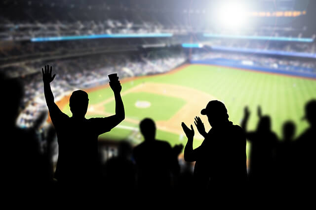 プロ野球観戦(イメージ)