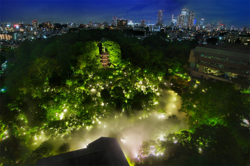 椿山荘 雲海（夜）