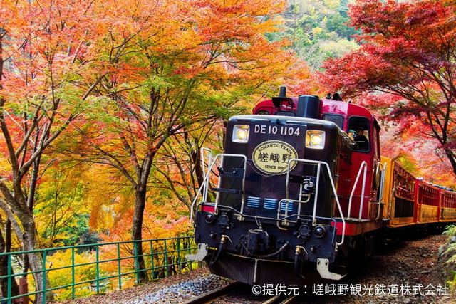 【温泉付ホテルにご宿泊】京都紅葉 ”Wトレイン”旅 「嵯峨野トロッコ列車」ライトアップと叡山電鉄「もみじのトンネル」 2日間