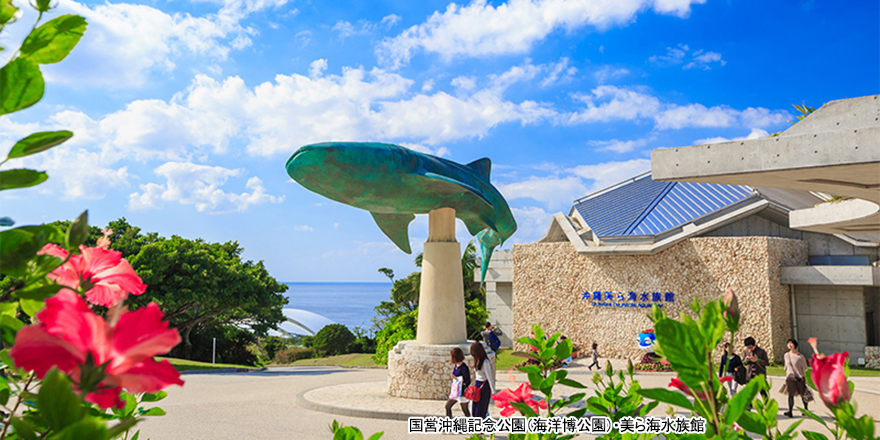 沖縄美ら海水族館