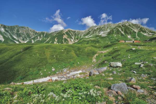 立山黒部アルペンルート通り抜け運賃付きイメージ