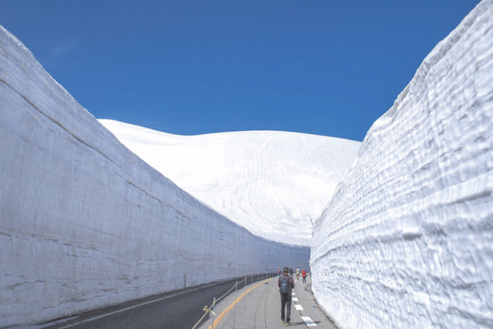 雪の大谷イメージ