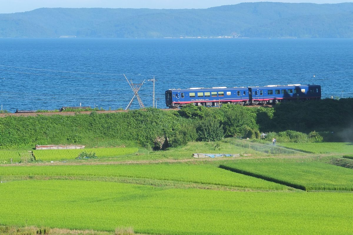 のと里山里海号の和の意匠の車内