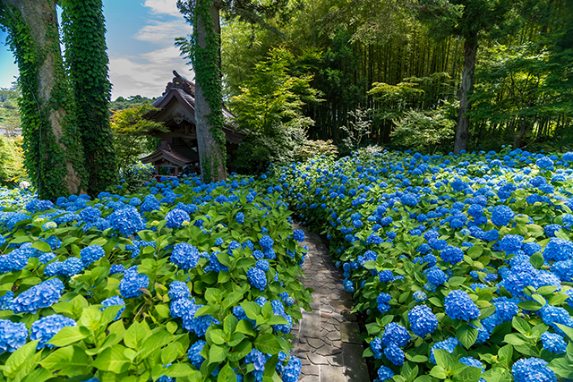 雲昌寺