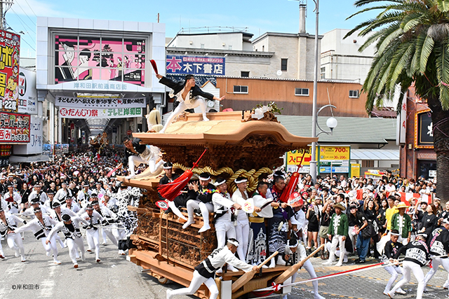 岸和田だんじり