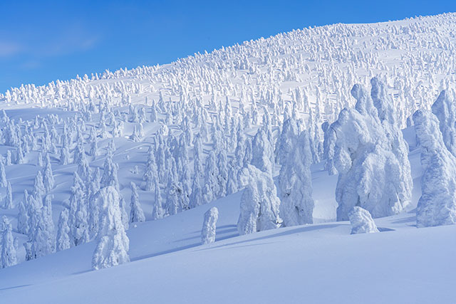 森吉山の樹氷