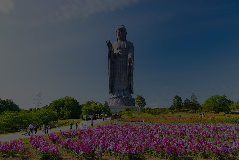 茨城県