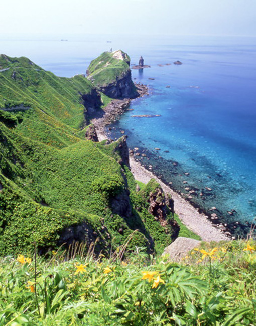 積丹半島 神威岬（イメージ）