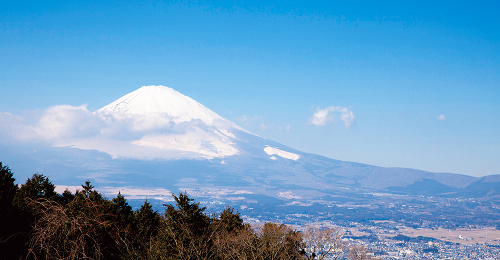 富士山を望む乙女峠
