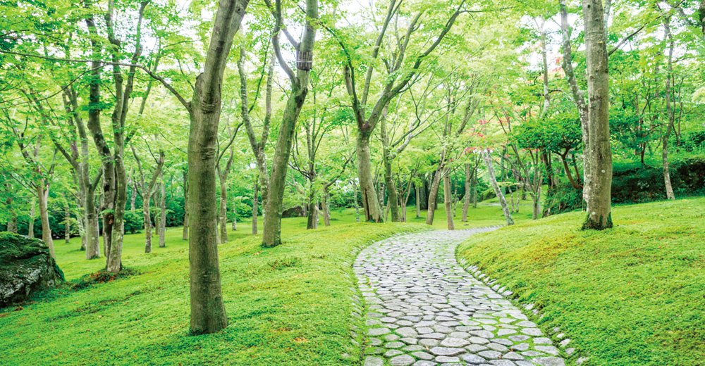 四季折々の美しさ箱根美術館