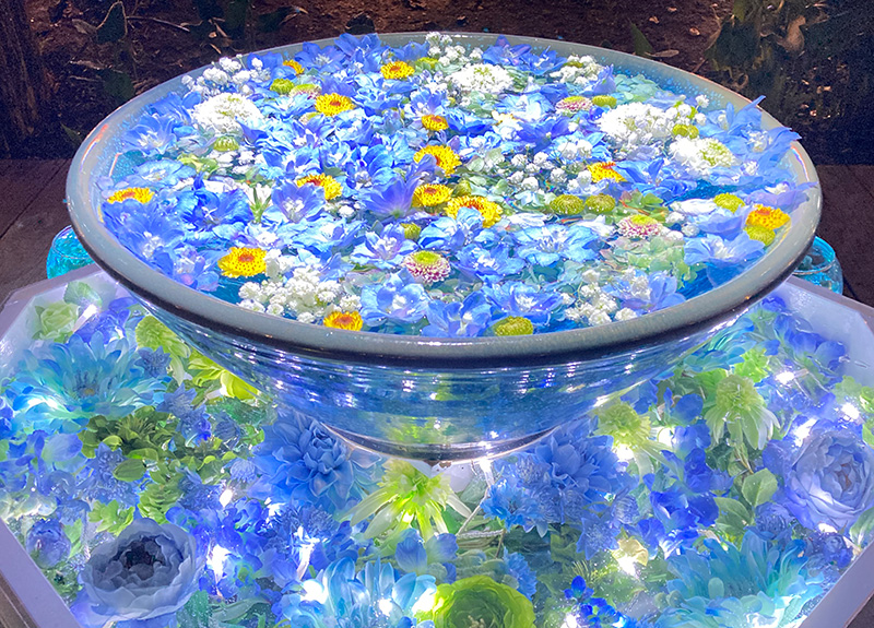 あしかがフラワーパークイルミネーション「光の花手水」