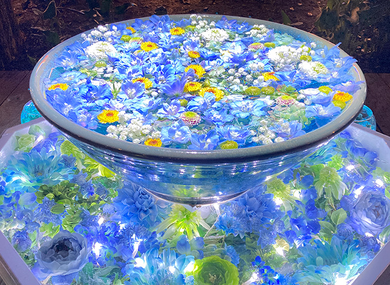 あしかがフラワーパークイルミネーション「光の花手水」