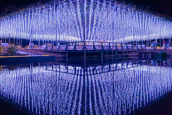あしかがフラワーパーク「光の花の庭」
