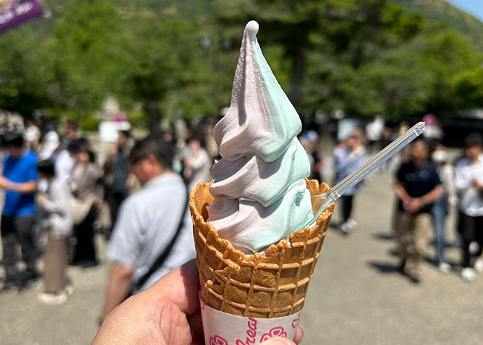 岩国錦帯橋のソフトクリーム
