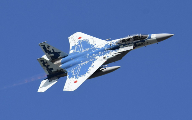 アグレッサー F-15J 特別塗装