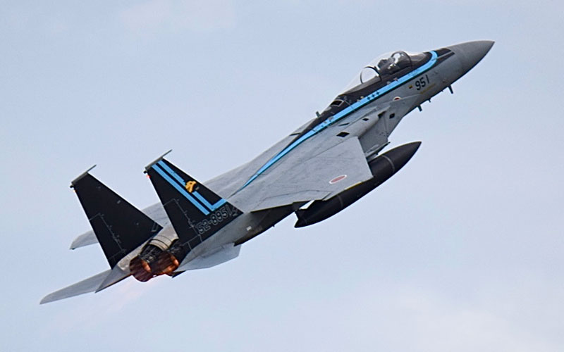 306SQ F-15J 特別塗装
