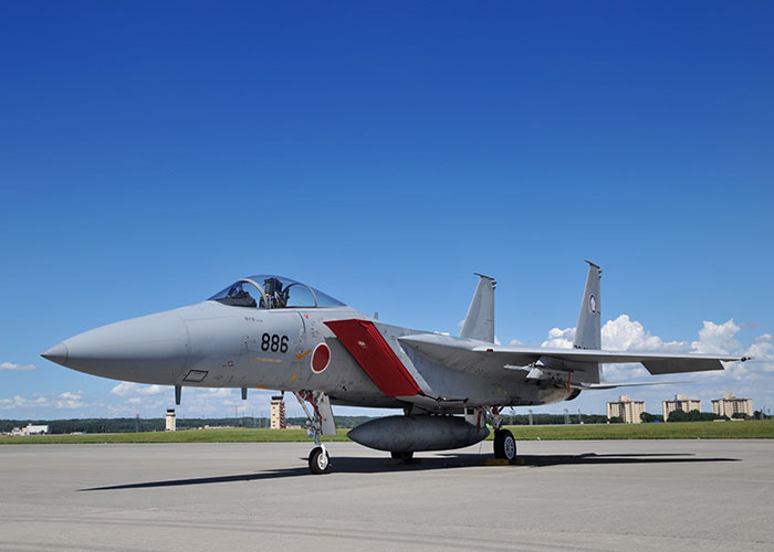 【第305飛行隊】F-15J/DJ