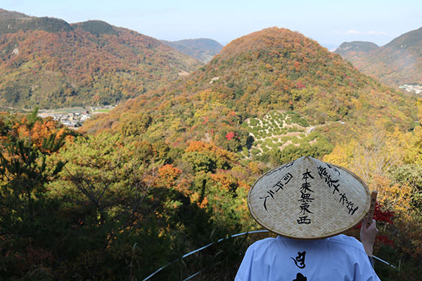 四国八十八か所 イメージ