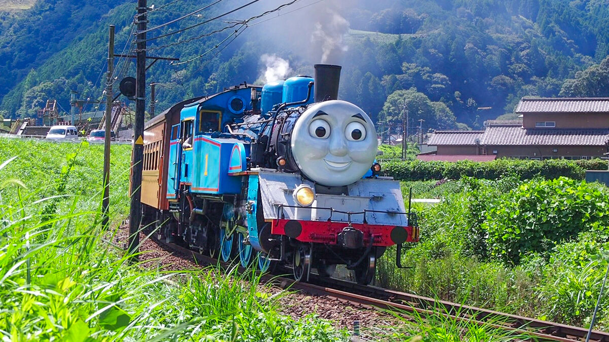 茶畑の中を走るトーマス号（正面）