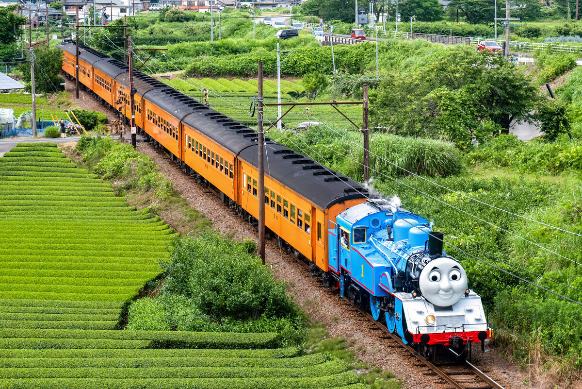 茶畑の高台から見下ろすトーマス号