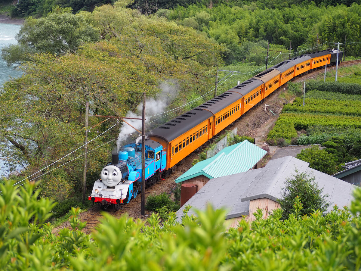 川沿いの緑の中を走るトーマス号
