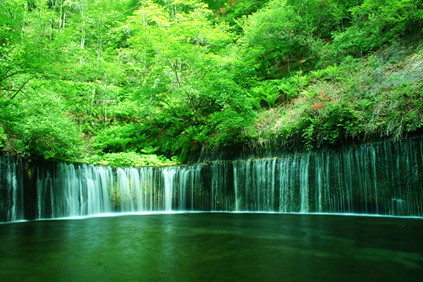 白糸の滝