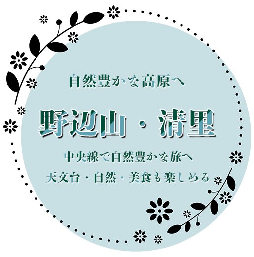 特急あずさ号で行く野辺山・清里ツアー特集