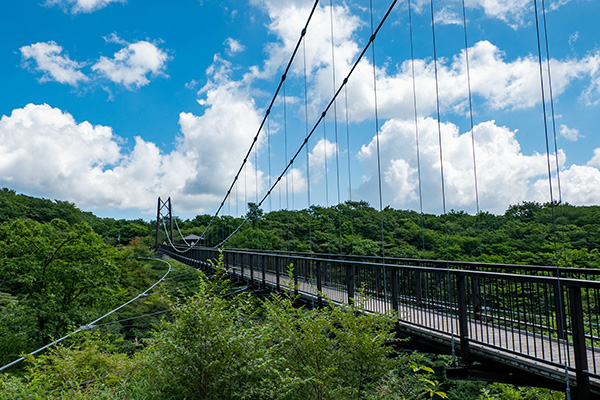 つつじ吊橋(イメージ)