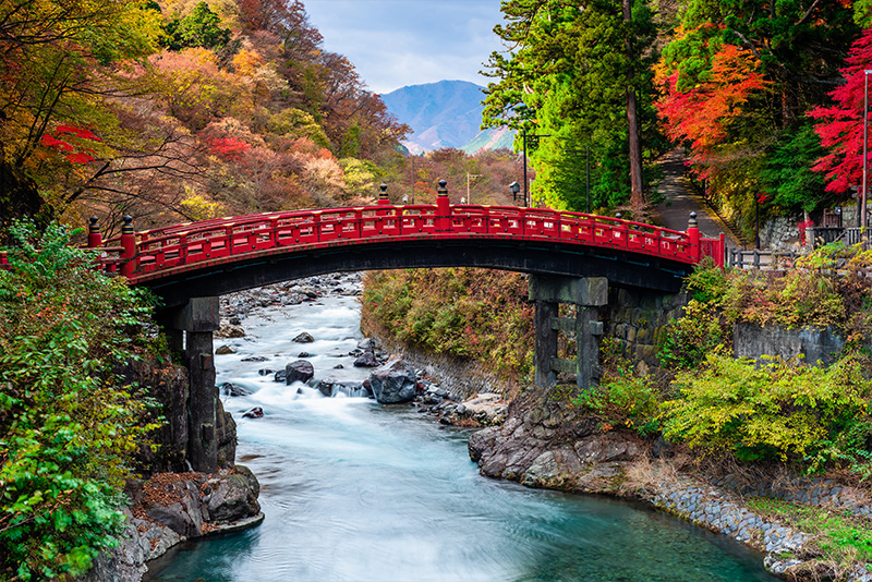 栃木発