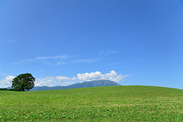 小岩井農場まきば園