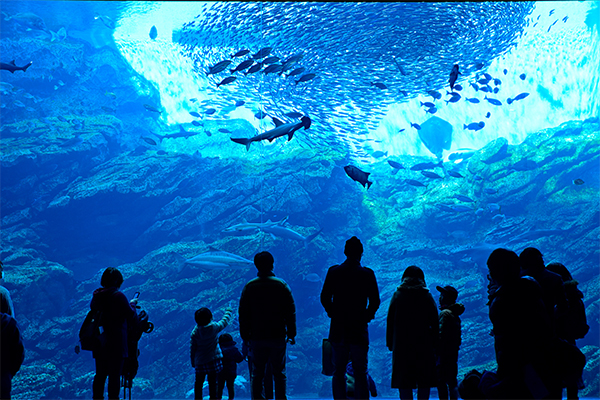 仙台うみの杜水族館